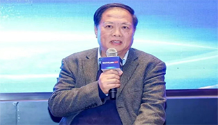 “当量市场容量”的含义及其意