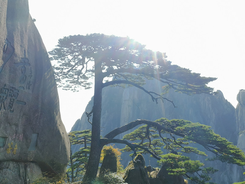 旅行 | 魅力黄山行
